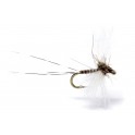 MOUCHE AB FLY SPC CAENIS
