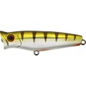 POPPER TACKLE HOUSE SHORES SPP 44 F 401