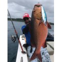 FISH TORNADO REAL MACKEREL SINKING (180 FSK - 240 SK)